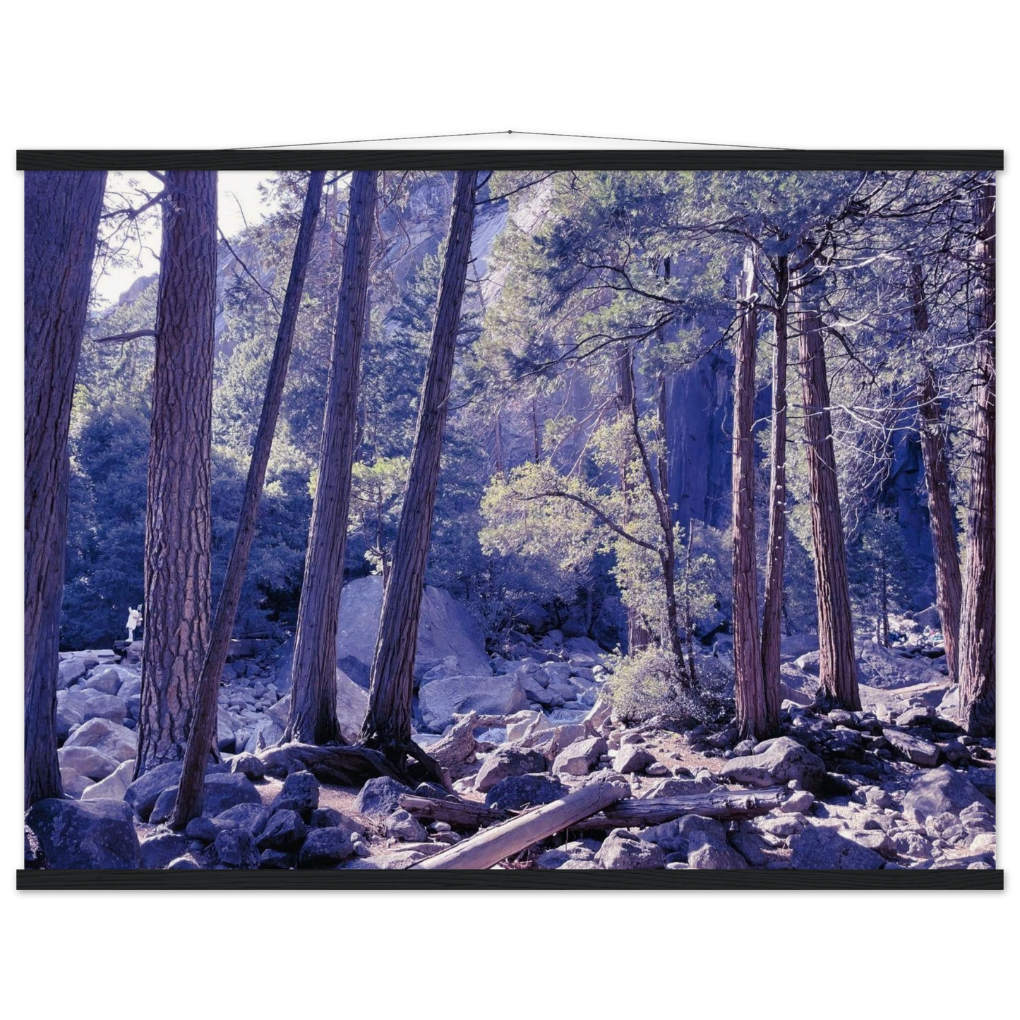 59d9455e-d899-40bd-9d43-12866bcd9a66