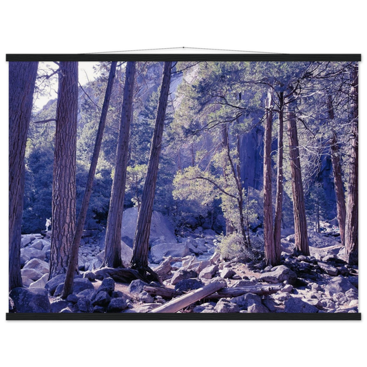 59d9455e-d899-40bd-9d43-12866bcd9a66