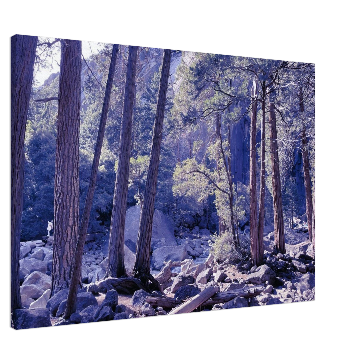 9401d2d4-0db5-4c18-af94-9647c33d4a14