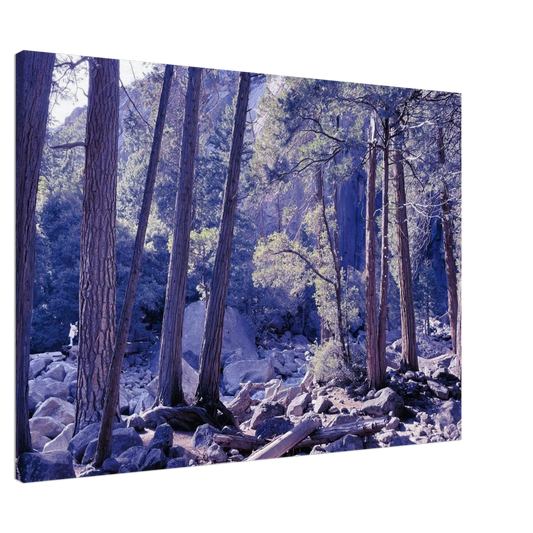 9401d2d4-0db5-4c18-af94-9647c33d4a14